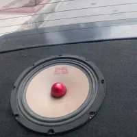 میدرنج دهنه ۸
