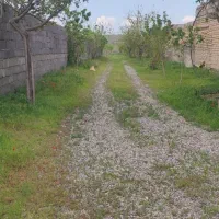 تور طبیعت گردی طرقبه