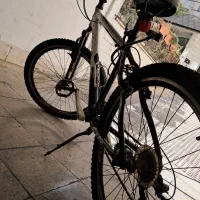 ویوا اکسیژن|دوچرخه، اسکیت، اسکوتر|تهران, تهرانپارس غربی|دیوار