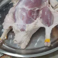 غاز لیندا