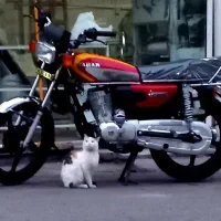 موتورسحر1401