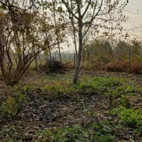 230 مسکونی سند دار با نامه بنیاد