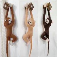 عروسک سازی|اسباب‌‌بازی|لنگرود, |دیوار