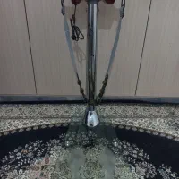 ویبره ایستاده،ورزشی