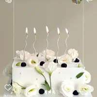 جهت کار در قنادی