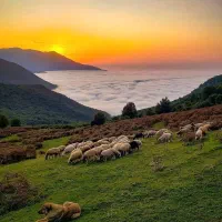 تور تهرانگردی و تور خارجی و داخلی|تور و چارتر|تهران, تجریش|دیوار