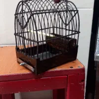 قفس کلکسیونی دست ساز