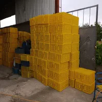 سبد 20کیلویی انگور و گوجه