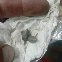 مهره های قدیمی