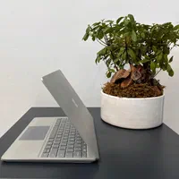 سرفیس لپتاپ سبک، شیک و لمسی Surface Laptop Go|رایانه همراه|مشهد, فلسطین|دیوار