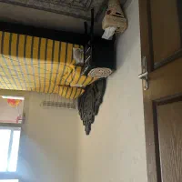 تخت و کمد نو نو|تخت و سرویس خواب|قم, زنبیل آباد|دیوار