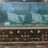 اکواریوم بزرگ