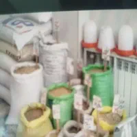 فروشنده مغازه در خورموج