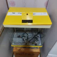 اکواریوم اماده وارداتی برند ،tianRun 840F|ماهی|شیراز, فرگاز|دیوار
