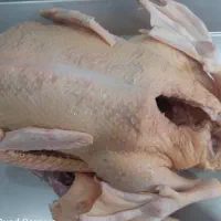 غاز و اردک روسی درشت آماده طبخ