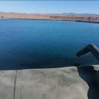 نمایندگی فروش عایق استخر کشاورزی ژئو ممبران|خدمات باغبانی و درختکاری|مشهد, آزادشهر|دیوار