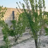 باغ-چهاردیواری-300متر-کنتور-برق-سند-دار-شهریار