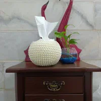 جا دستمال کاغذی شیک