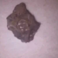 سنگ شهاب سنگ