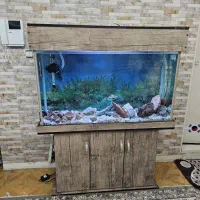 آکواریوم پایه دار|ماهی|تهران, دولتخواه شمالی|دیوار