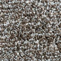 موکت(پرزبلند تراکم بالا)مدل سیدنی ظریف مصور ۷۰۰|موکت|قم, نیروگاه|دیوار