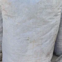 فضله کبوتر