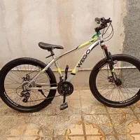 دوچرخه ۲۶ ویگو حرفه ای