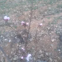 فروش ۱۰۰۰ متری