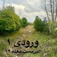 زمین دلباز ۲۵۰۰ متری، فرصت استثنائی سرمایهگذاری|فروش زمین و ملک کلنگی|چاف و چمخاله, |دیوار
