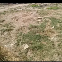 زمین تجاری