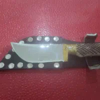 چاغو اصل ترکمن دسته شاخ ...|کوهنوردی و کمپینگ|گالیکش, |دیوار