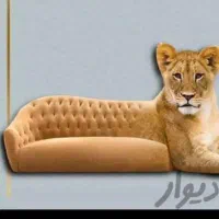 خدمات مبلشویی سیار مبل شویی ( zhikan)فرش شویی