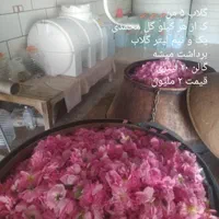 گلاب سنتی|خوردنی و آشامیدنی|اصفهان, جوزدان الیادران|دیوار