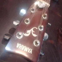 گیتار آکوستیک خوش صدا|گیتار، بیس، امپلیفایر|ساری, |دیوار