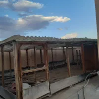 قفس
