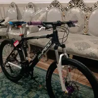 راپیدو دو تیکه.  درجه یک