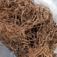 گیاه والرین مخصوص گربه ها