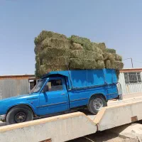 باربری با نیسان به تمام نقاط کشور|خدمات حمل و نقل|شادگان, |دیوار