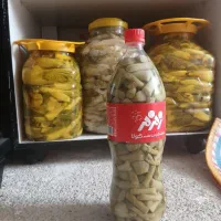 ترشی بیلهر 890
