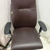 صندلی|صندلی و نیمکت|رشت, کاکتوس|دیوار