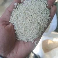 نیم دانه و لاشه درشت برنج هاشمی اعلا