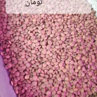 همه ی حبوبات