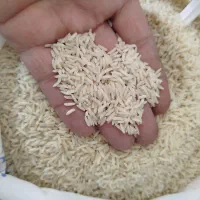 برنج فروشی