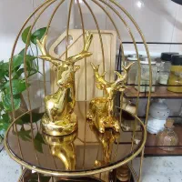 قفس فلزی دکوری