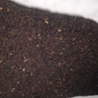 تخم شربتی(بالنگو)اصل کلات