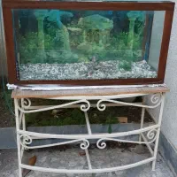 اکواریوم سایز بزرگ