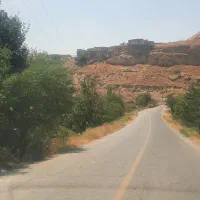 فروش فوری باغ در روستای کله دشت ساوه|فروش دفتر صنعتی، کشاورزی، تجاری|نوبران, |دیوار