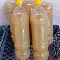 فروش آبغوره طبیعی خالص