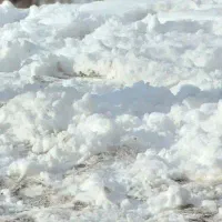 خط دائمی ۰۹۱۸۸۴۶۴۷۹۴