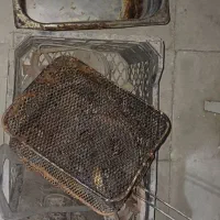 ظرف استیل و گالن ۱۰ لیتری